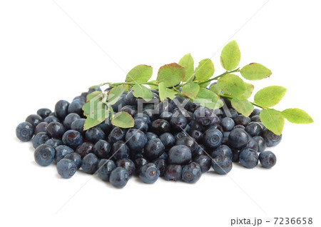 Bilberries 7236658
