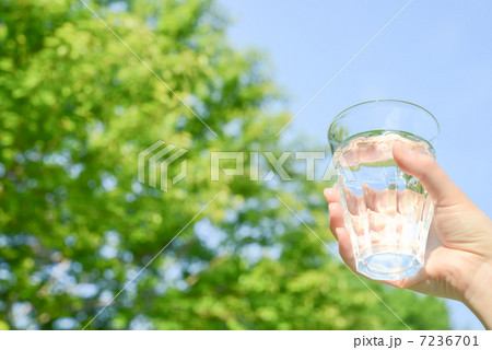 コップの水 7236701