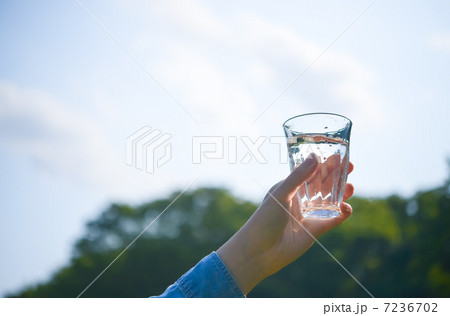 コップの水 7236702