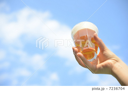 生ビール 7236704