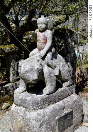 金太郎像 7237085