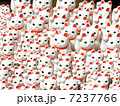ねこ1 7237766