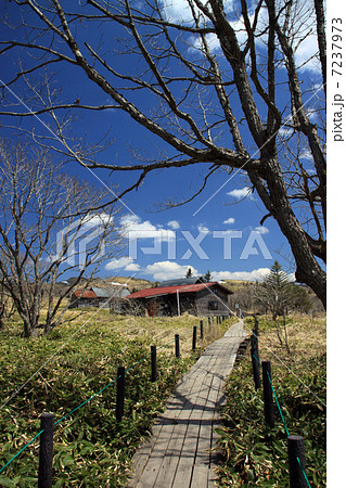 八島ヶ原湿原 7237973