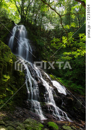 秋芳白糸の滝 7238064