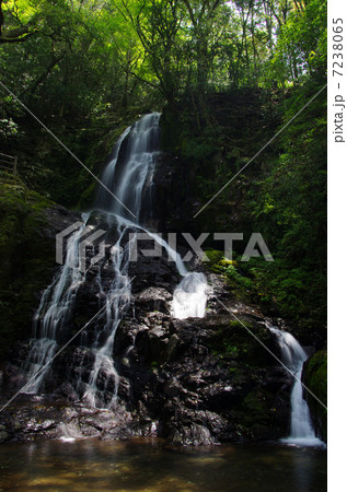 秋芳白糸の滝 秋芳白糸の滝 7238065