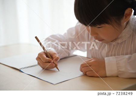 勉強する女の子　 7238249