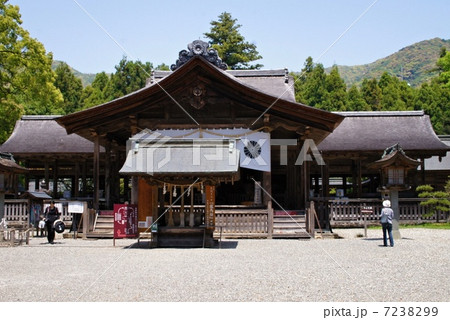 土佐神社 7238299