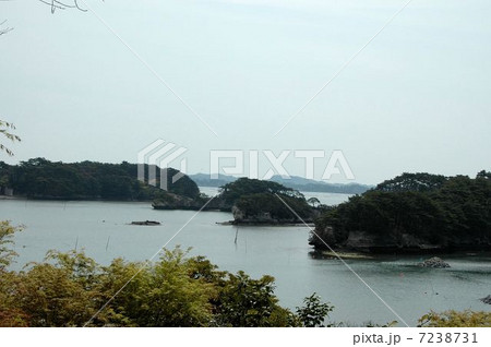 宮城県初夏の松島 宮城県初夏の松島 7238731