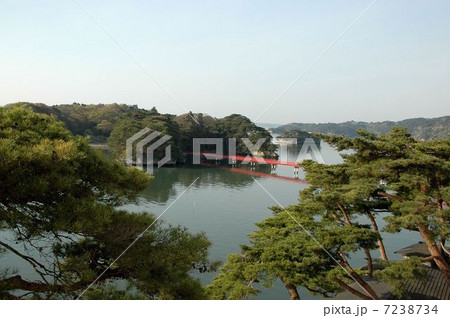 宮城県初夏の松島 7238734