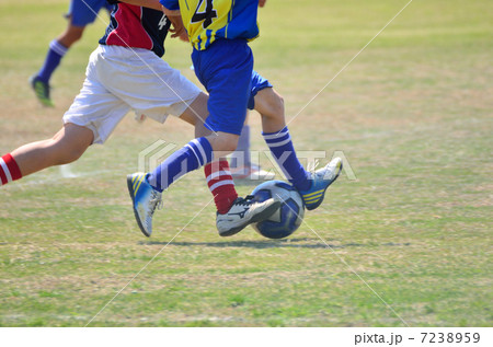 サッカー サッカー 7238959