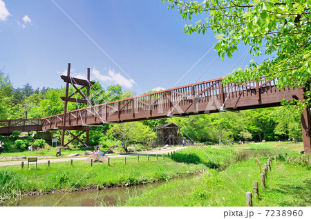 木造の橋 7238960