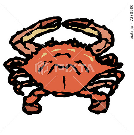 ワタリガニ 7238980