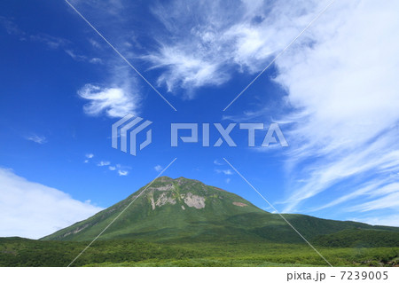 羅臼岳 羅臼岳 7239005