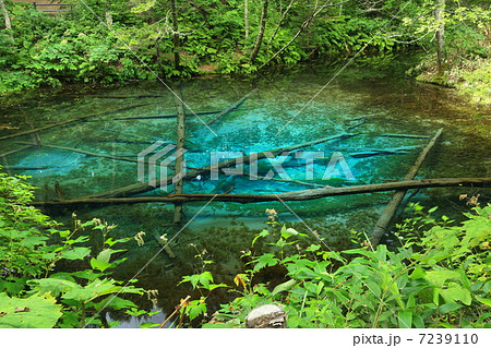 北海道・清里町 「神の子池」 7239110