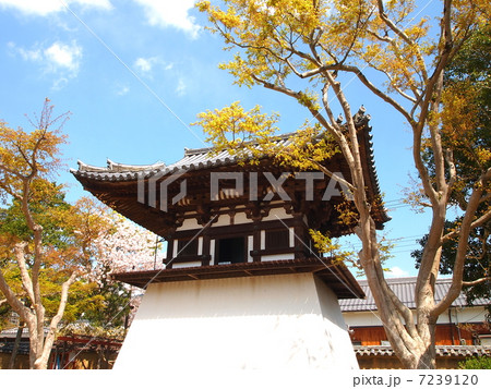奈良　新薬師寺　鐘楼 7239120