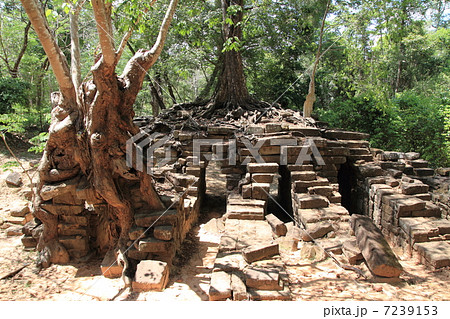 スピアン・トモー 7239153