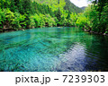 九寨溝 池 7239303
