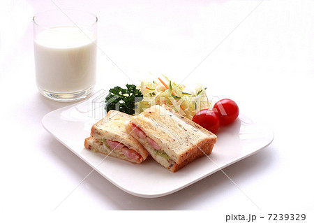 サンドイッチ 7239329