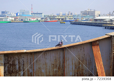 横浜市神奈川区の錆びた鉄橋と港の風景 7239368
