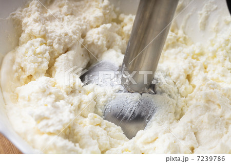 Blender in curd 7239786