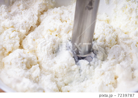 Blender in curd 7239787
