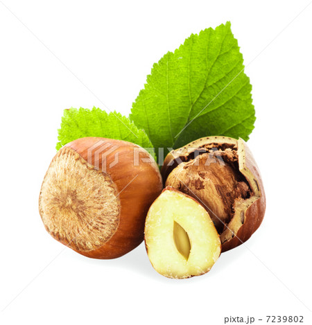 Hazelnuts isolated 7239802
