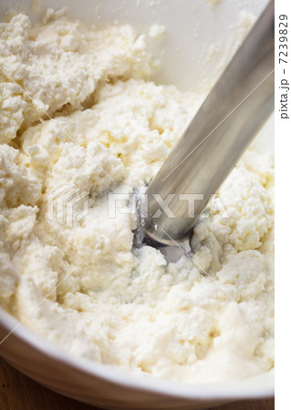 Blender in curd 7239829