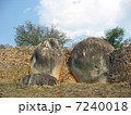 ジンバブエの世界遺産（グレート・ジンバブエ遺跡） 7240018