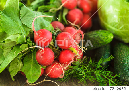 Fresh spring vegetables prepared for salad on the table 7240026