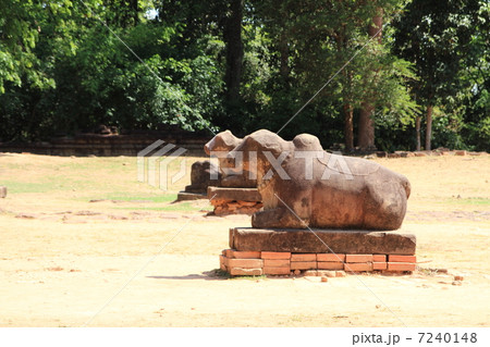 プリア・コーのナンディン 7240148