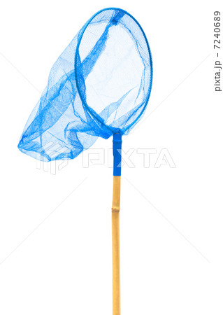 blue butterfly net blue butterfly net 7240689