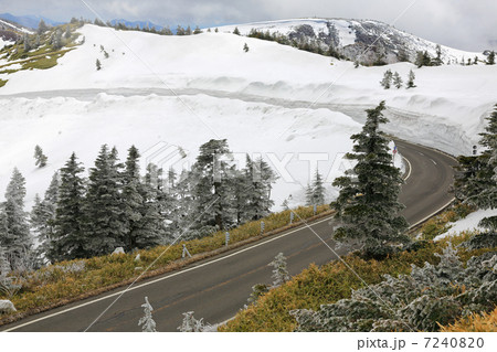 春の志賀草津道路 7240820