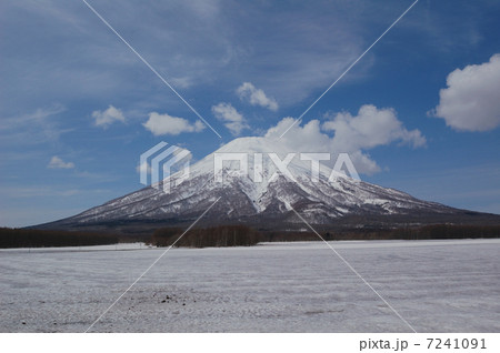 冬の終わりの羊蹄山 冬の終わりの羊蹄山 7241091