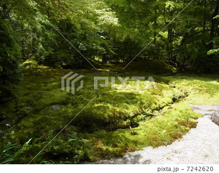 京都 - 瑠璃光院 7242620