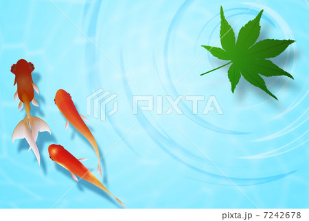 金魚 金魚 7242678