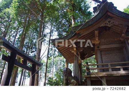 紫香楽宮跡に小さな社 7242682