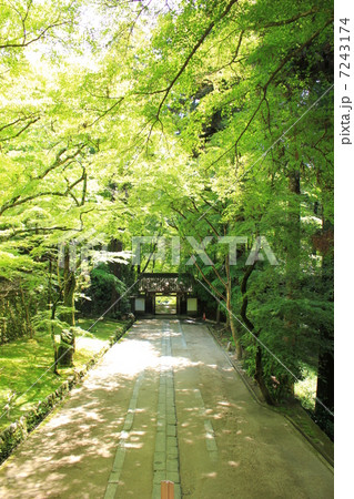 香嵐渓の香積寺 7243174