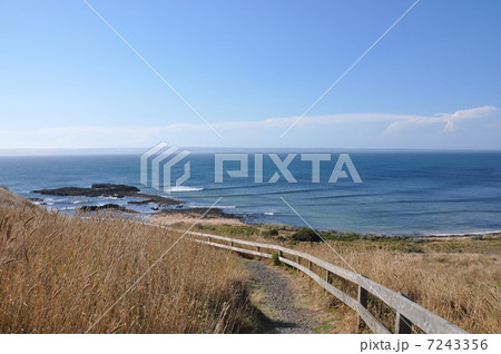 cowrie beach フィリップ島 cowrie beach フィリップ島 7243356