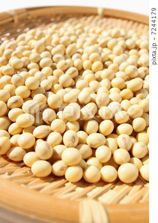 大豆 大豆 7244179