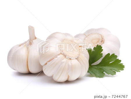 garlic bulb 7244767