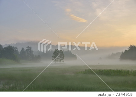 湿原の夜明け 7244919