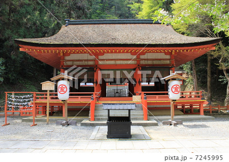 金刀比羅山　白峰神社　四国　香川県　 7245995