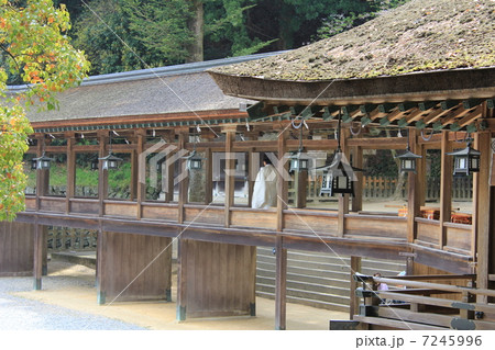 金刀比羅山　南渡殿　拝殿　本殿　四国　香川県　 7245996