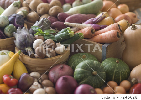 野菜集合 7246628