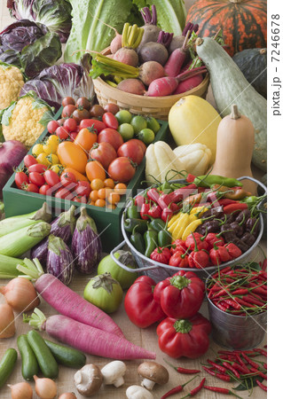 野菜集合 野菜集合 7246678