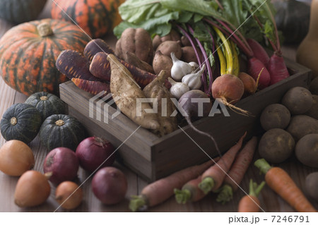 泥付き野菜集合 7246791