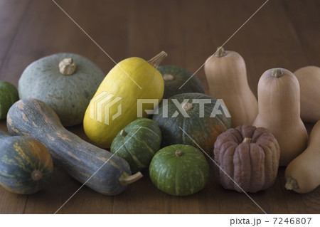 カボチャ集合 7246807