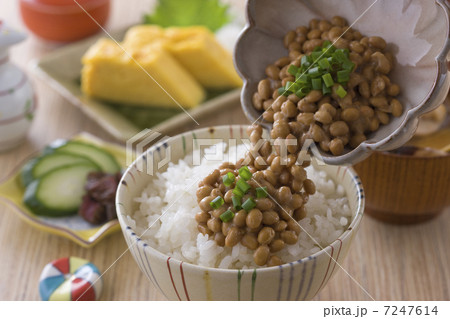 納豆とご飯 7247614