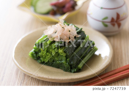 ほうれん草のおひたし ほうれん草のおひたし 7247739
