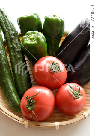 夏野菜 7248623